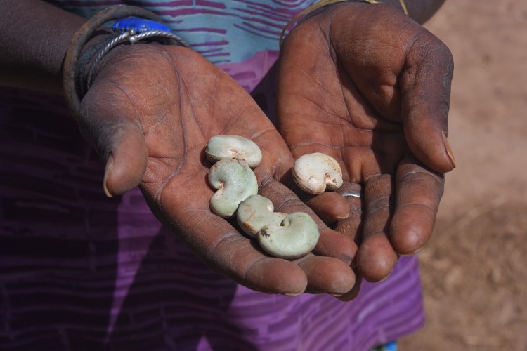 A woman holding some cashew in her hands
