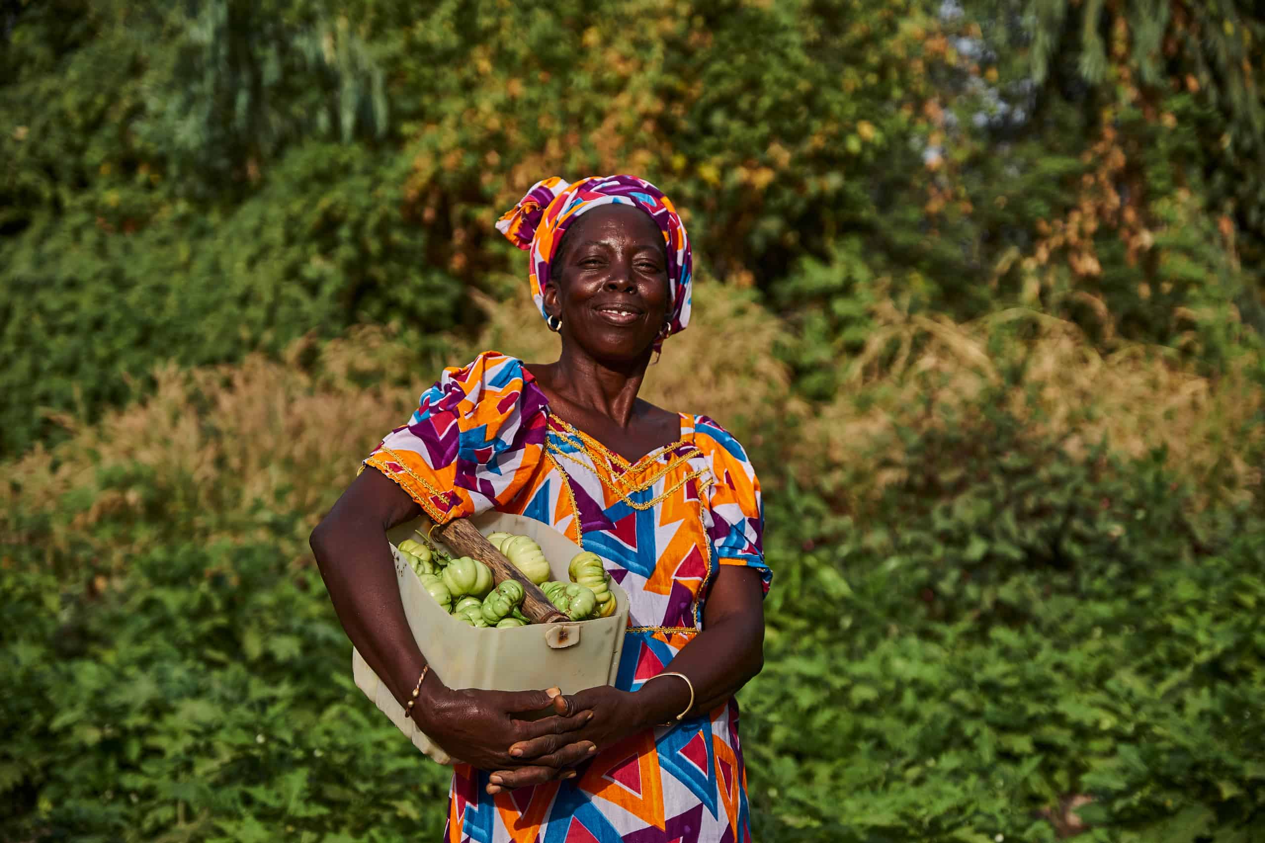 Activities Trees for the Future in Senegal