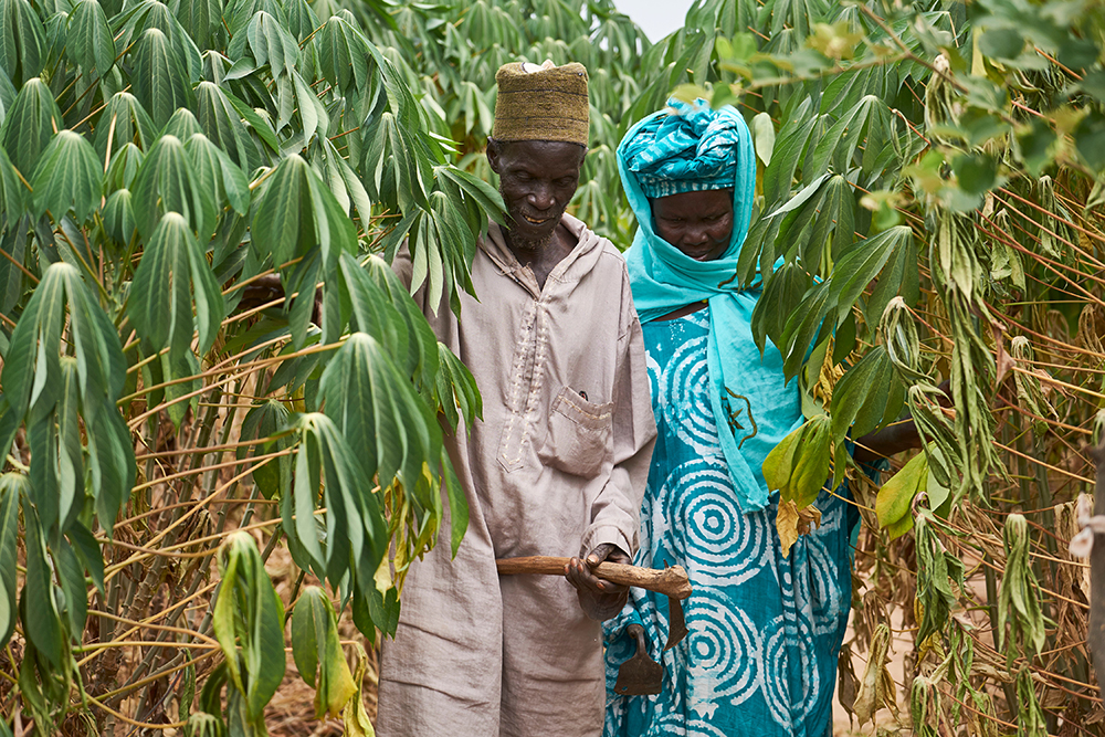A couple walking through a mature Forest Garden in Senegal