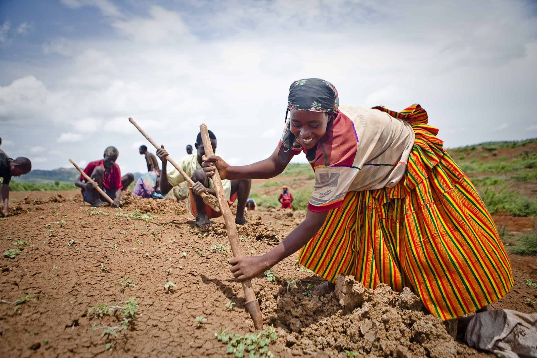Women cultivating soil in a field