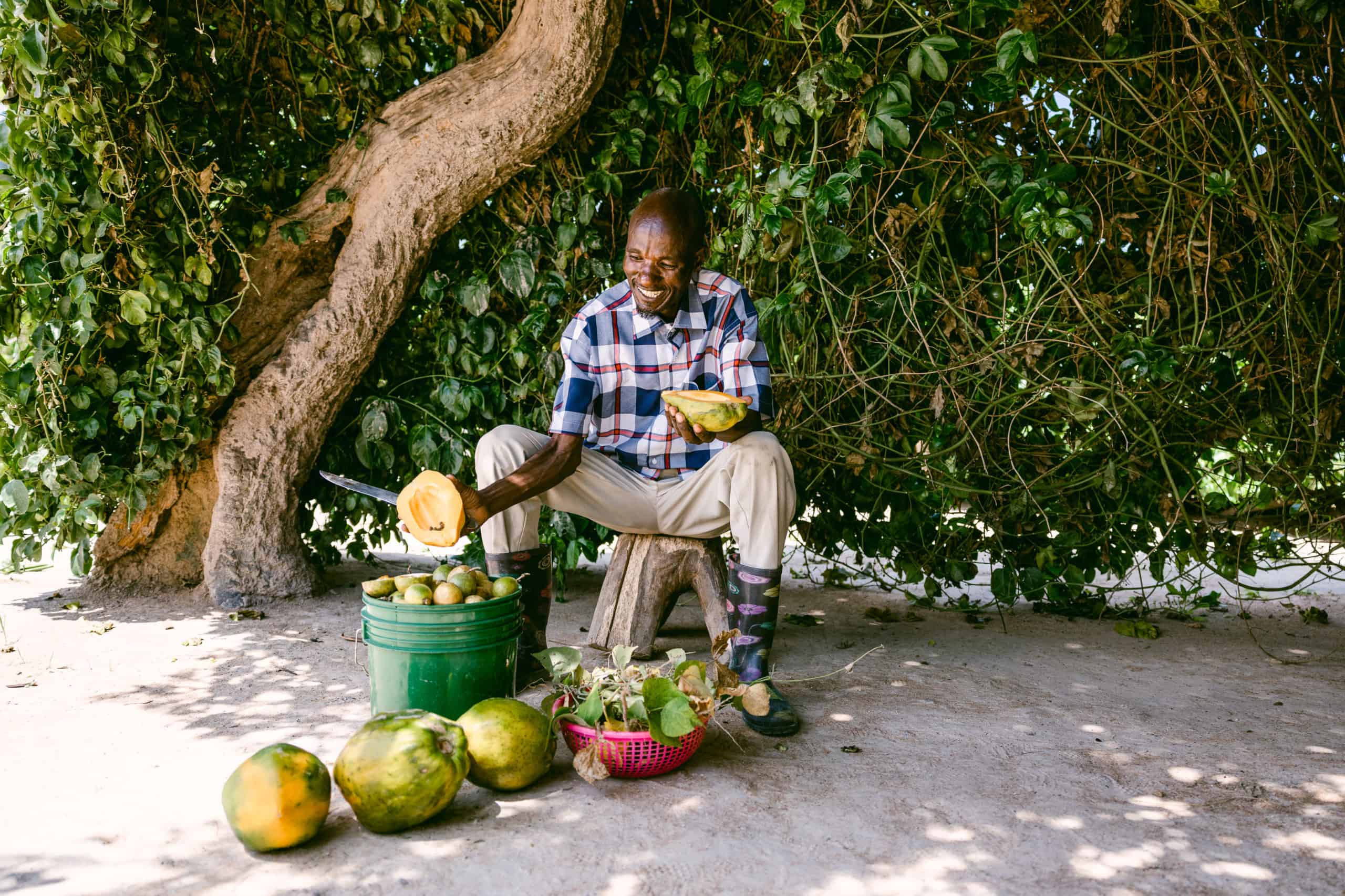 Man slicing fruit under a tree.