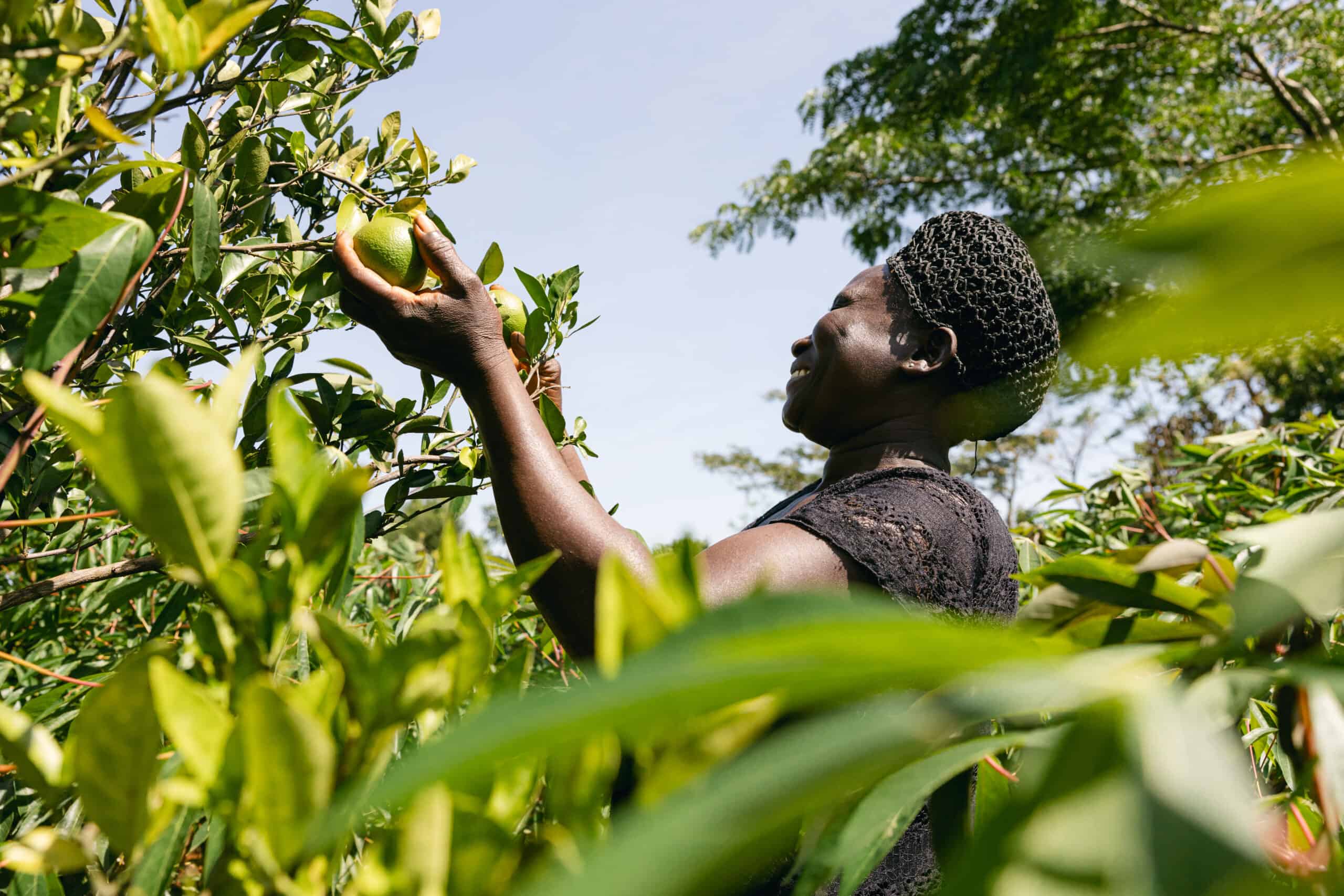 Taaka Sarah from Uganda - Trees for the Future