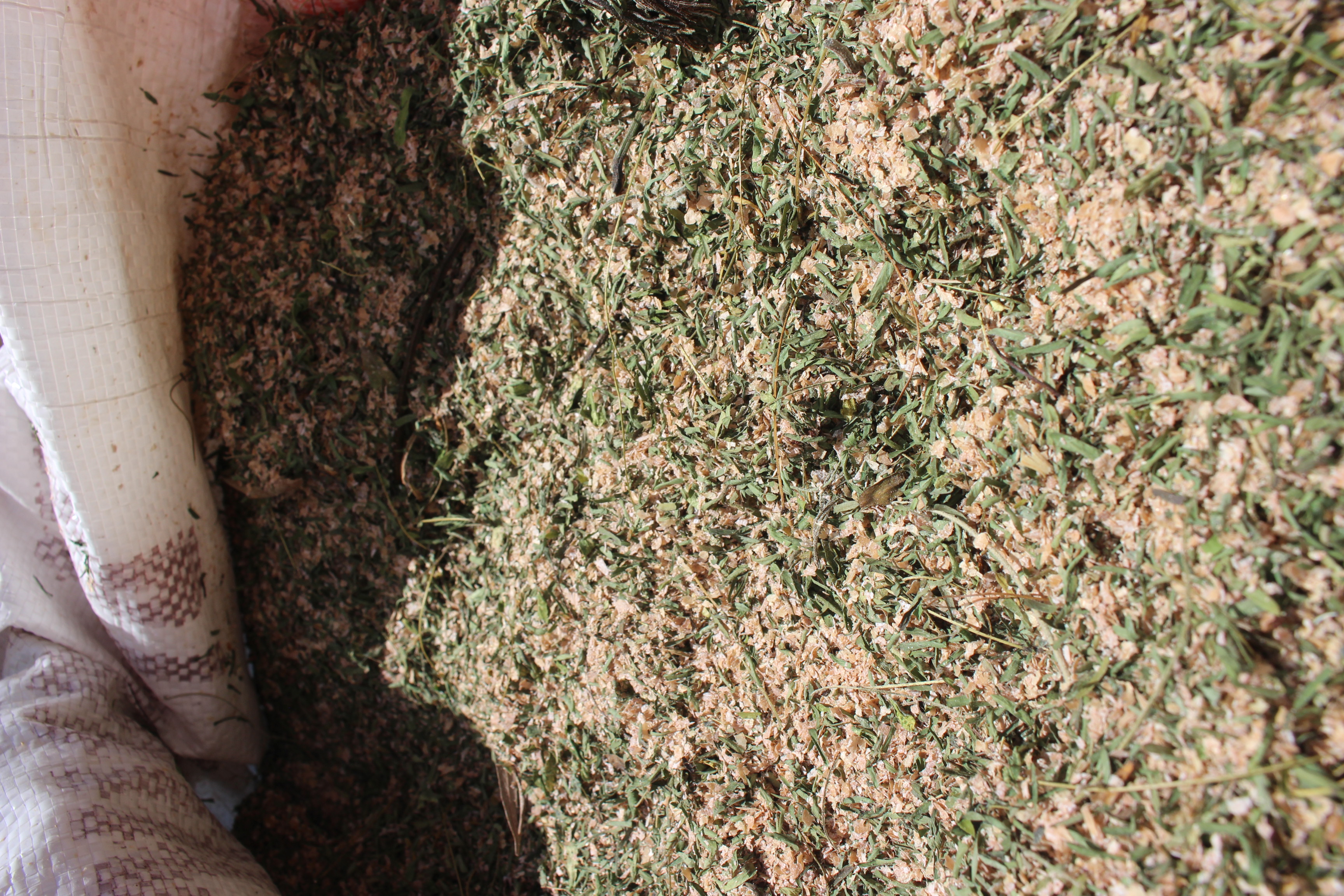 Dried leaves of fodder trees are mixed with maize feed