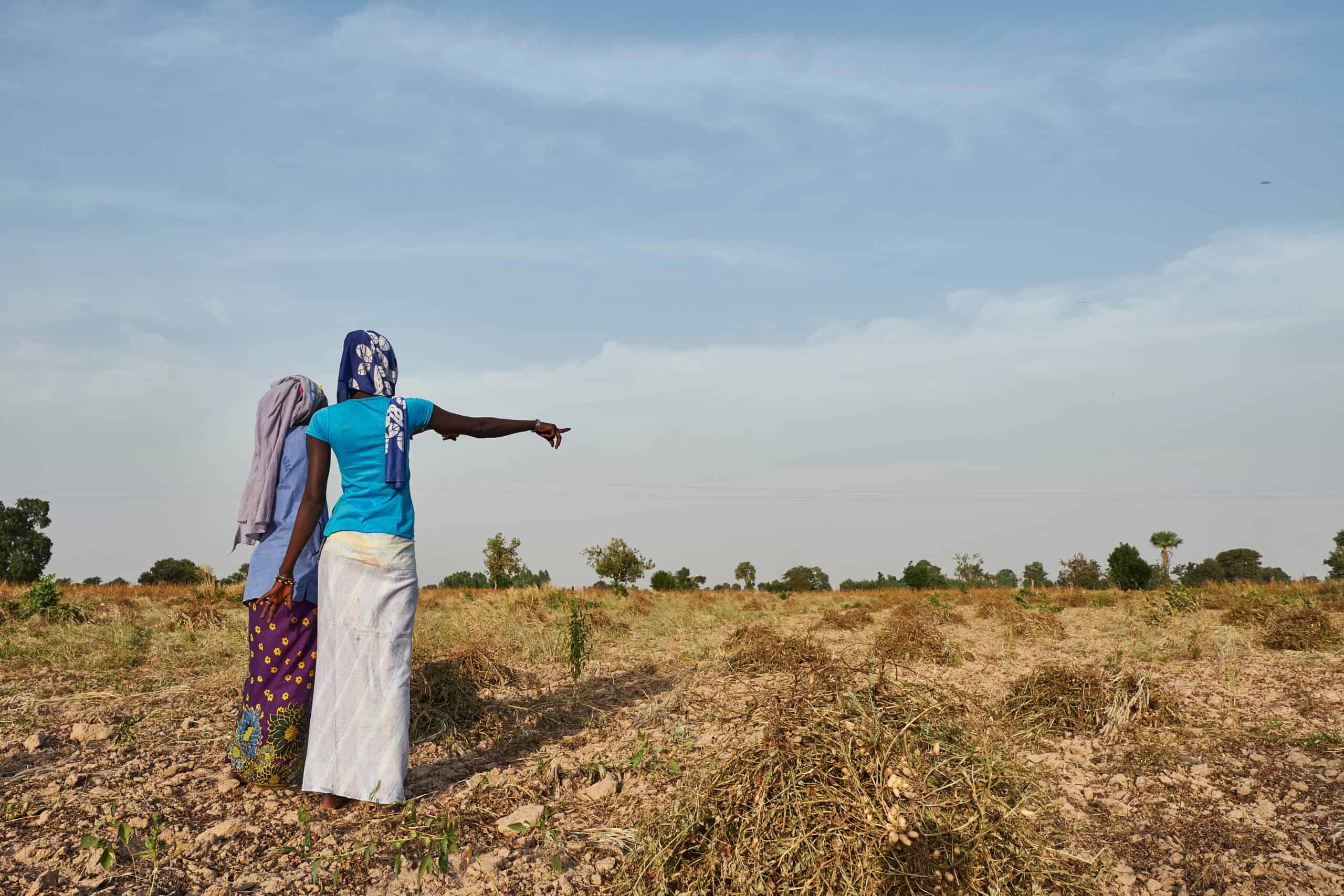 Activities Trees for the Future in Senegal