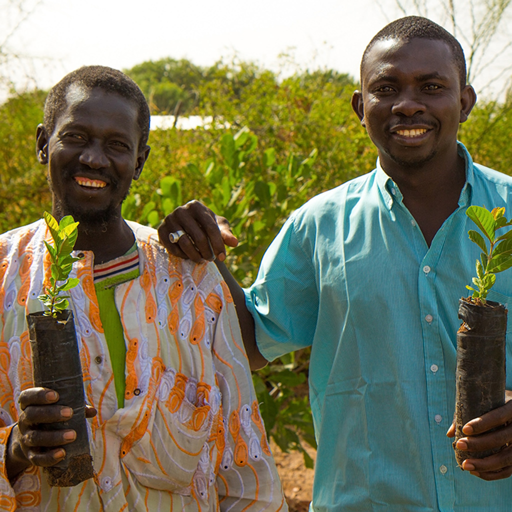 Mate Mbaye in his field