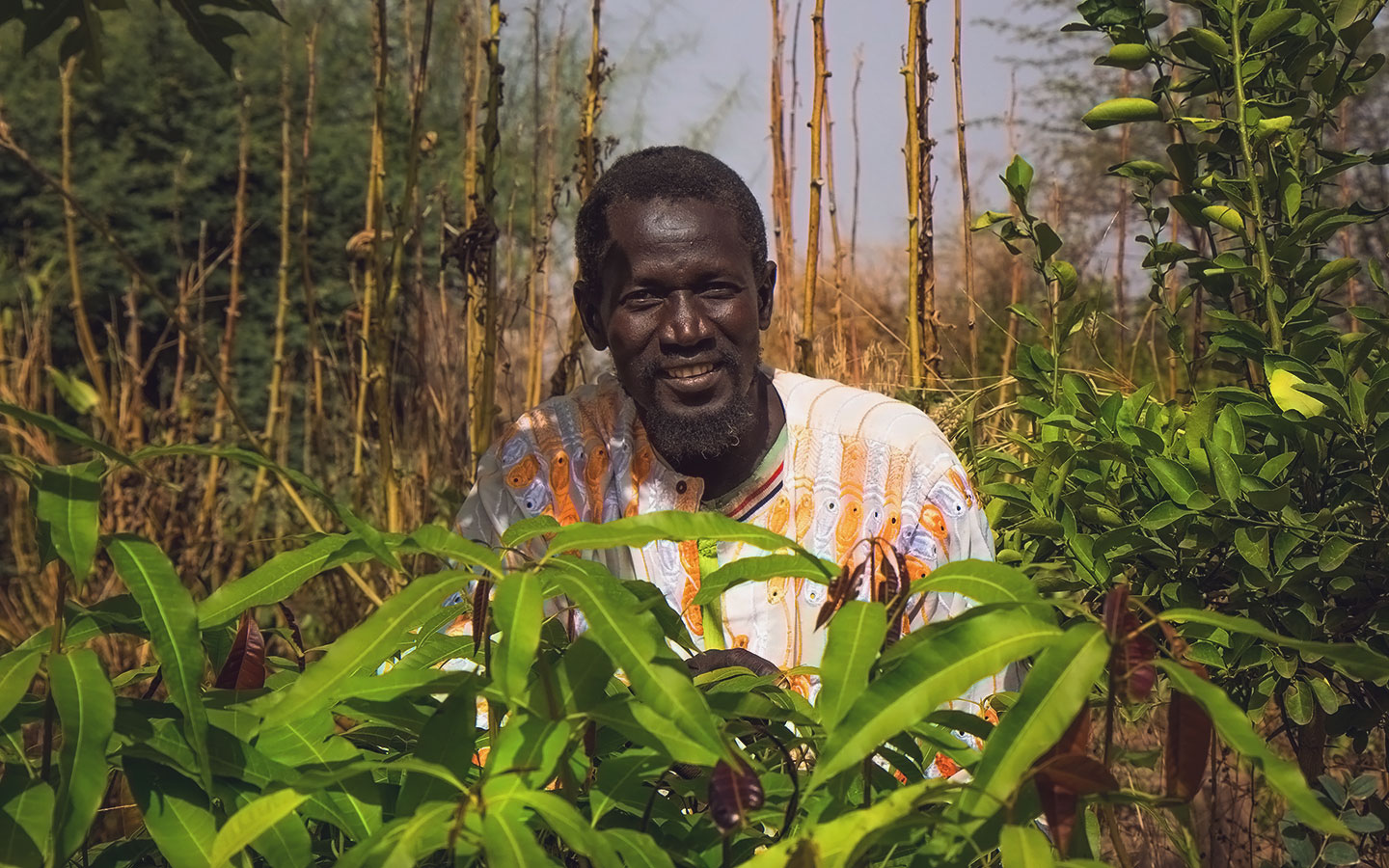 Mate Mbaye in his field