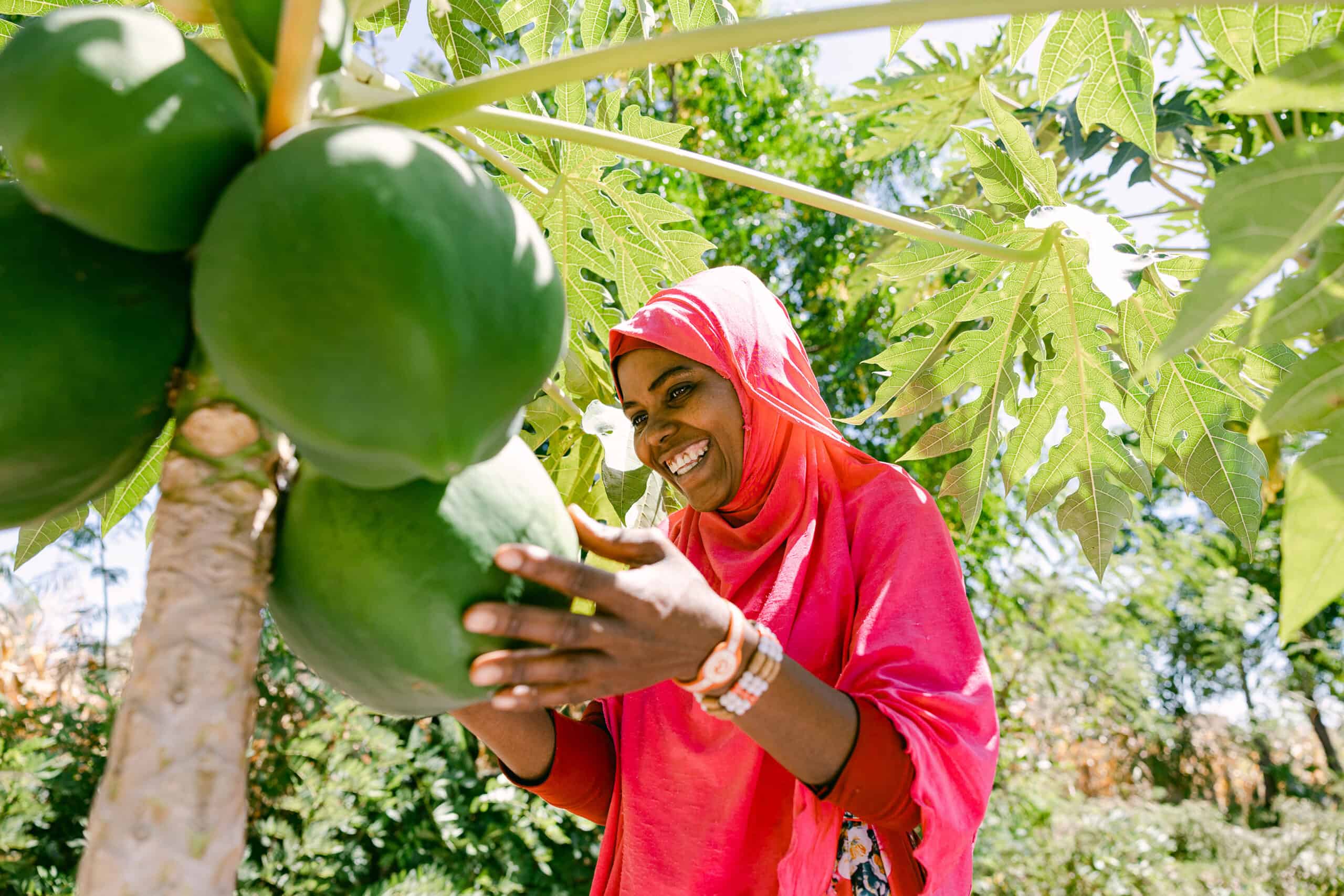 Nuriati harvesting after VSLA training