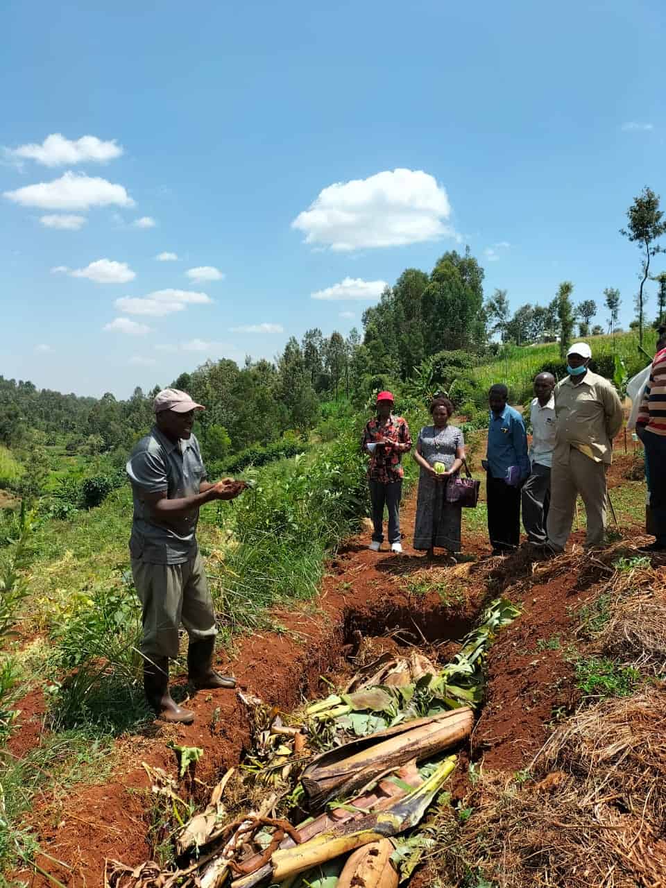Group of people learning sustainable farming techniques in a lush rural setting.