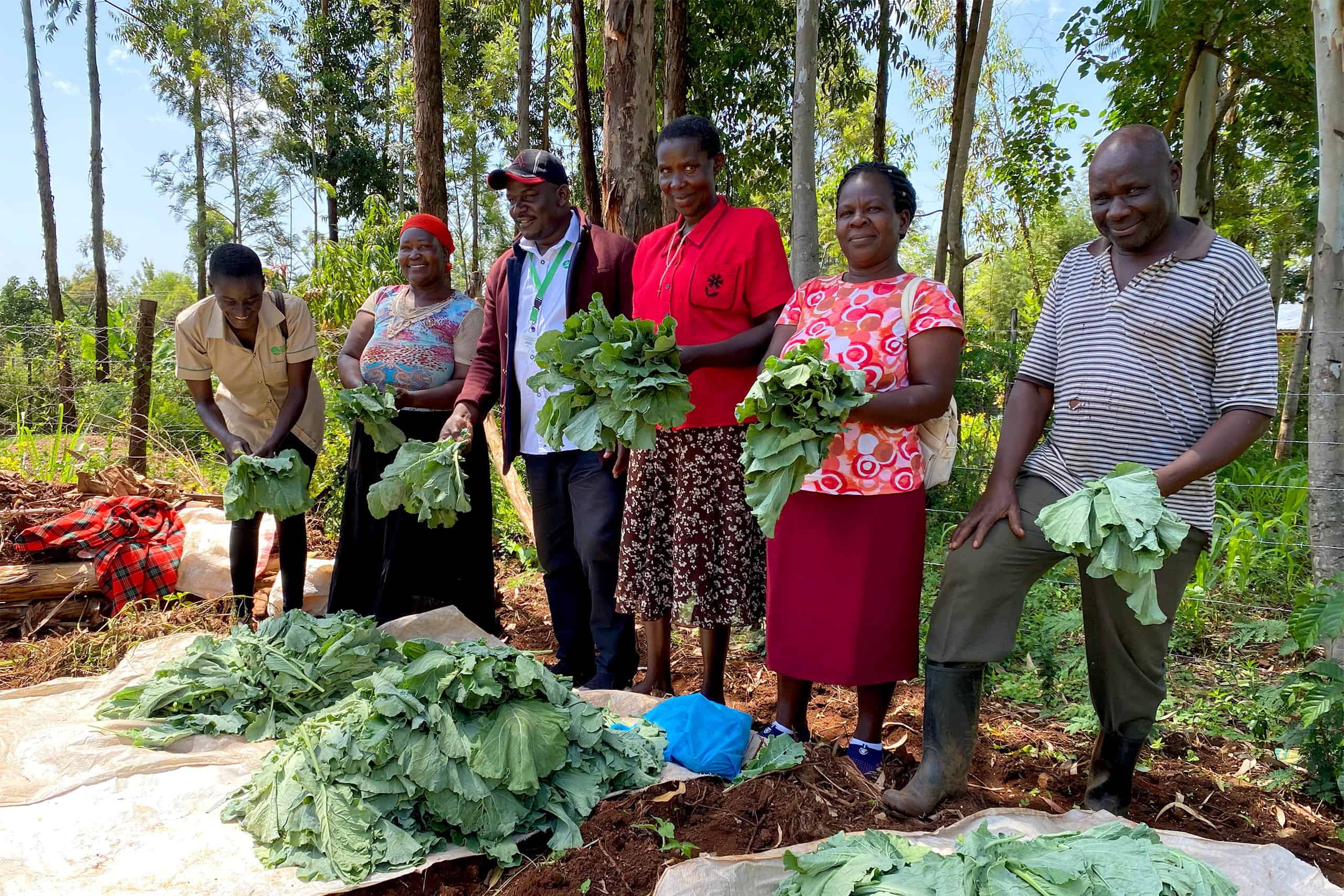 Tobias' farmer group