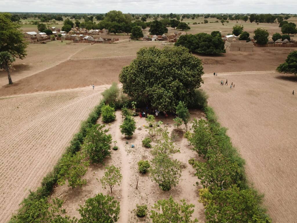 Impact reports show an aerial view of a flourishing green field in a dry landscape.