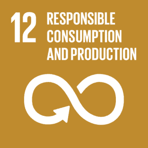United Nation's Sustainable Development Goals